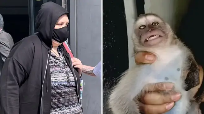 British woman admits role in global monkey torture network
